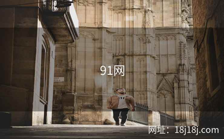 91网 第2张