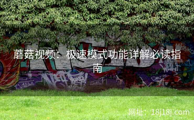 蘑菇视频:极速模式功能详解必读指南