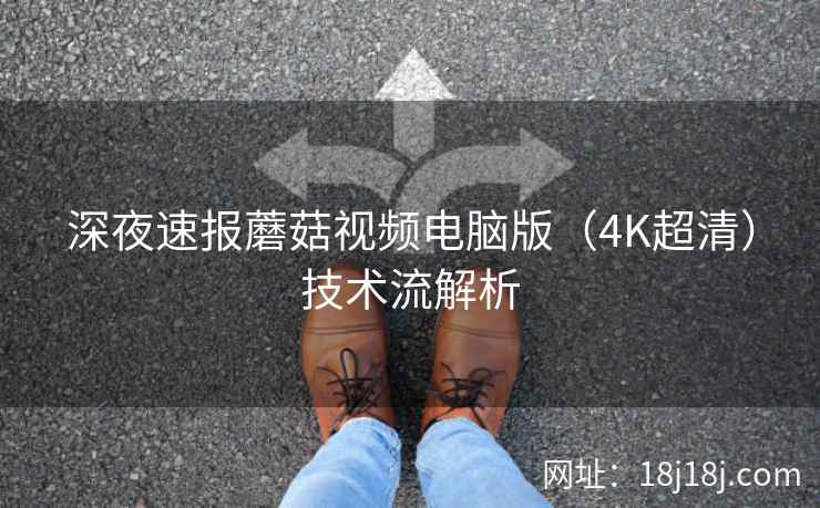深夜速报蘑菇视频电脑版(4K超清)技术流解析