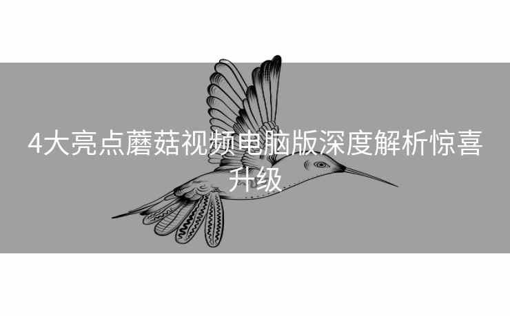 4大亮点蘑菇视频电脑版深度解析惊喜升级