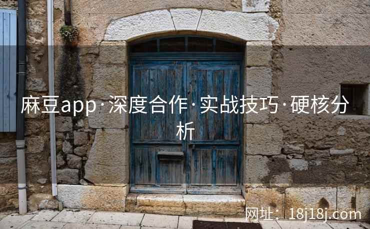麻豆app·深度合作·实战技巧·硬核分析