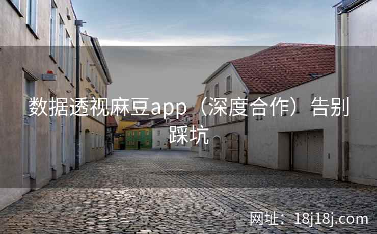 数据透视麻豆app(深度合作)告别踩坑