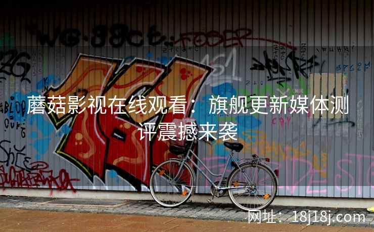 蘑菇影视在线观看:旗舰更新媒体测评震撼来袭