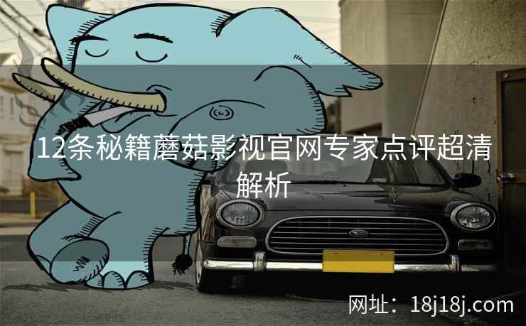 12条秘籍蘑菇影视官网专家点评超清解析