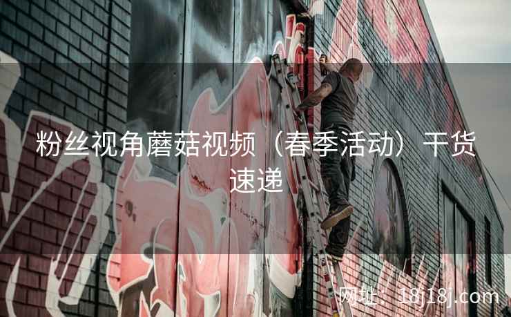 粉丝视角蘑菇视频(春季活动)干货速递