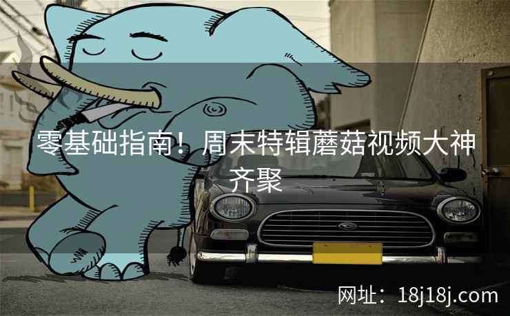 零基础指南！周末特辑蘑菇视频大神齐聚