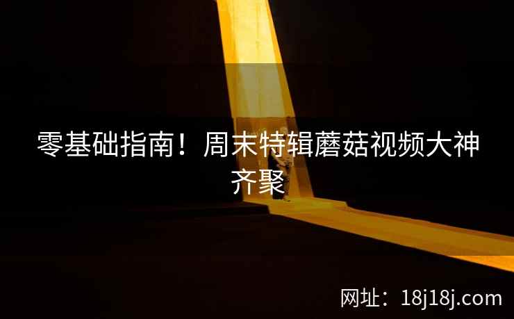 零基础指南！周末特辑蘑菇视频大神齐聚