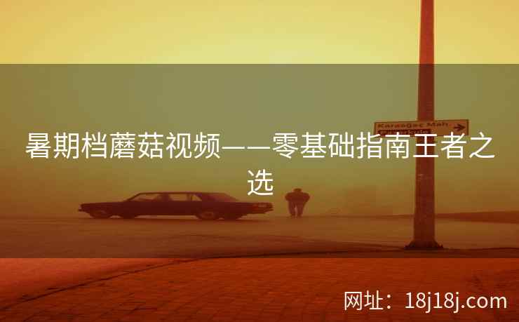 暑期档蘑菇视频——零基础指南王者之选