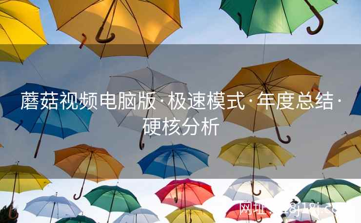 蘑菇视频电脑版·极速模式·年度总结·硬核分析