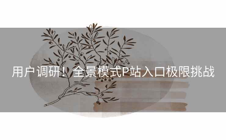 用户调研！全景模式P站入口极限挑战